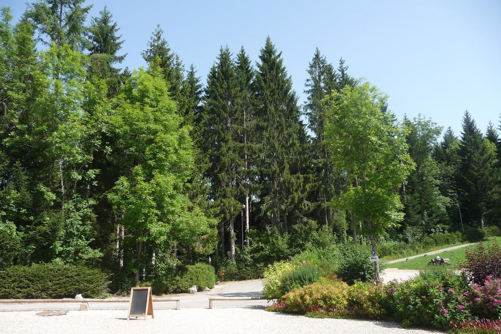 Domaine De La Sapiniere Thorens-Glières Exterior foto